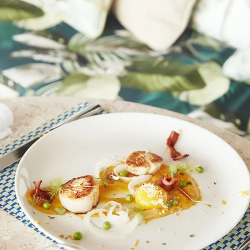 mg0f1s0fmzrhk9lb8vp359wjs264