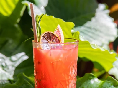 netaampk1jv30u8m1pz4v8265059