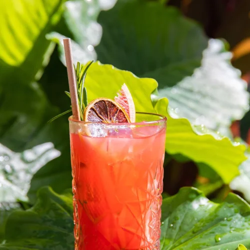 netaampk1jv30u8m1pz4v8265059