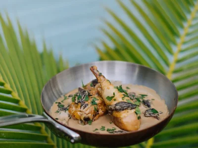 nhf0ws1o42rlp0txobvegwwdu803