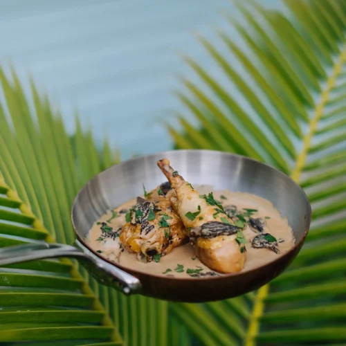 nhf0ws1o42rlp0txobvegwwdu803