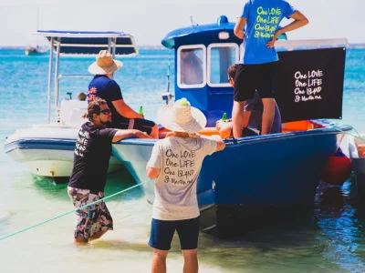 njb9fl2j4aih8beo6c6o49z1z3so (2)