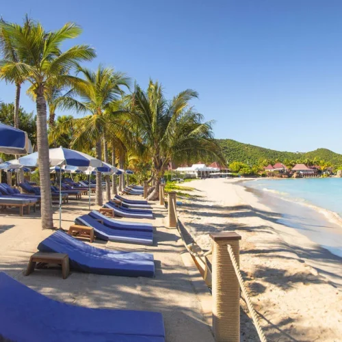 oog6bkvgh9ha1v93go5jlwx41nen