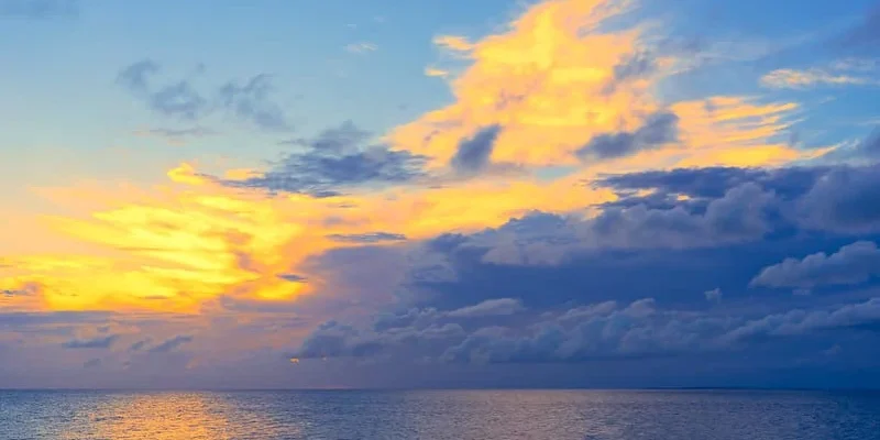 p8hxiekbkcoy5p0l5qhb1bojcfh0