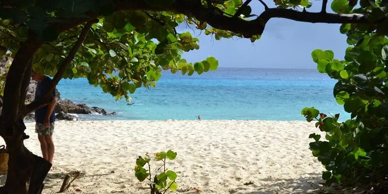 pal8ug1xp6wi1xq1huszj7ai9h6f