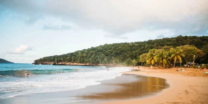 plage-de-la-perle-deshaies-1024x683