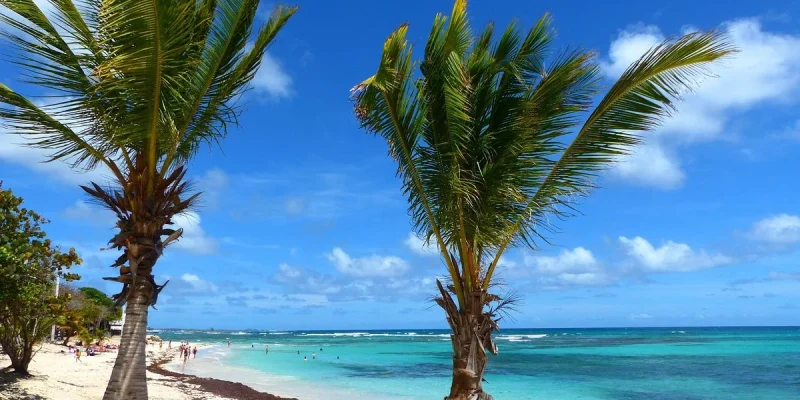 plage-des-raisins-clairs