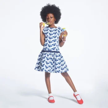 pnx5la5i6g29lnxt3s1karr0wsnr (1)