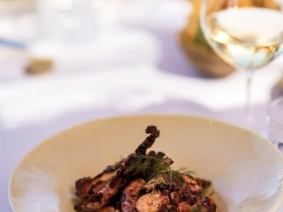 qmpxv7xyta0g191u28v0bleubcy1