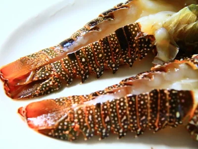 r27kxc8xwwgozz5t72yzjrcckrkj