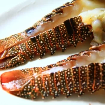 r27kxc8xwwgozz5t72yzjrcckrkj-rgchx90p34wshg3fdf9dr54zjf2gg09tq9p8sc353c