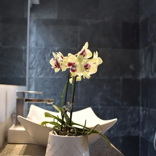 rjgoxa8izf8k7xanwzj26l1mdjpi