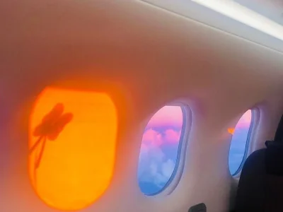 supzg07toqu9wf1sl8m555w73q2v