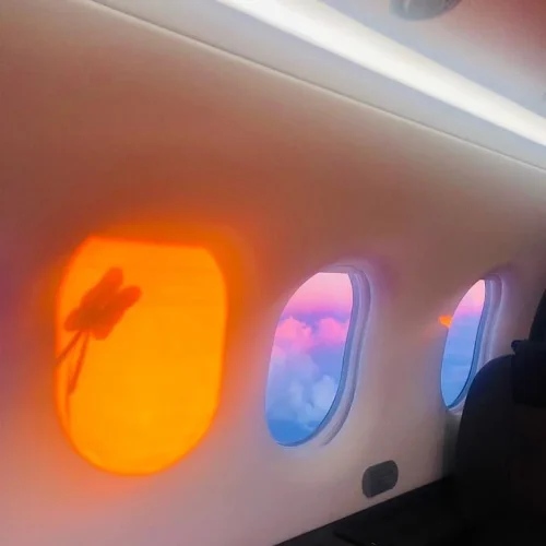 supzg07toqu9wf1sl8m555w73q2v