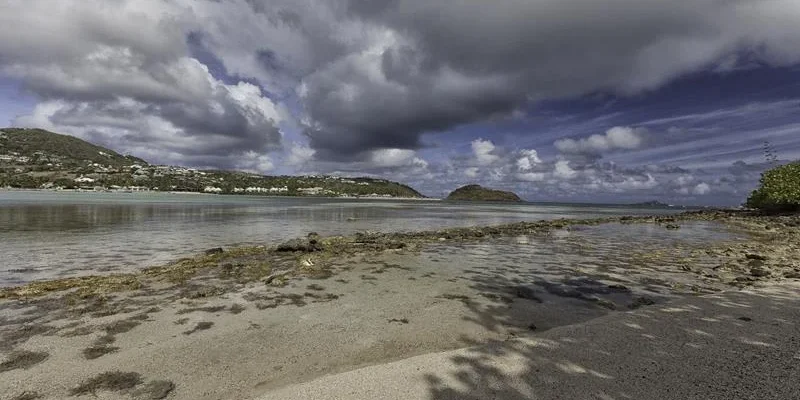 t7s244dg6w6m0dkg06k5fzlyao2t