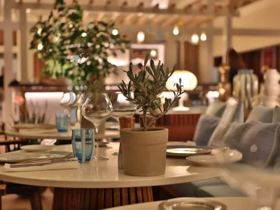 tkhxv1adcrdhcizjsny01epwx7c7