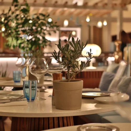 tkhxv1adcrdhcizjsny01epwx7c7