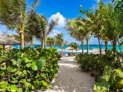 v3kufmaam5wyjcxenfz4dq920rtl (1)