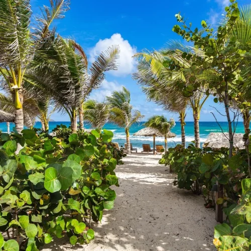 v3kufmaam5wyjcxenfz4dq920rtl (1)