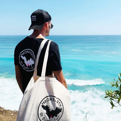 wajawy8reketjnd3bt2j4im15adv