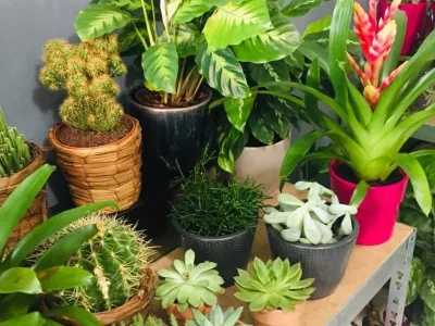 wyfp0yr0q0q0qfy58q4itk6ayoa4 (1)