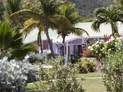 xekv6o8rsicvtykfvqf1j72f43mv (1)