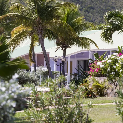 xekv6o8rsicvtykfvqf1j72f43mv (1)