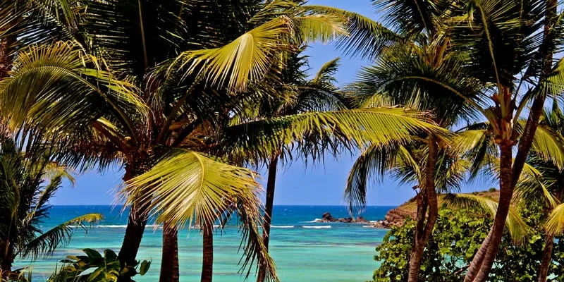 xvuotz4bfd40e7pu71382rxztdcF