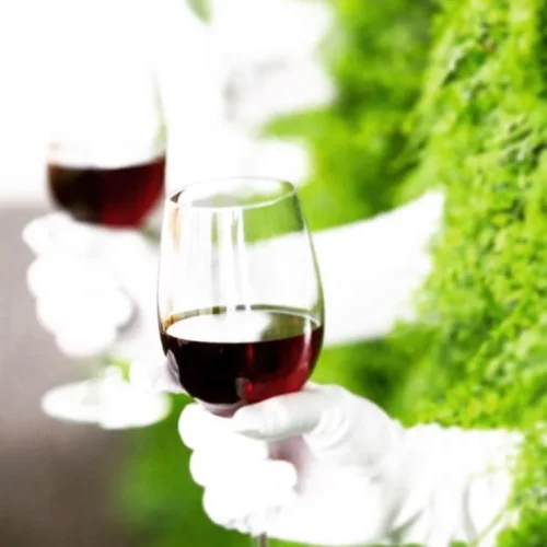 ykbbuhmp6orepb6kf2z5rupcn34f