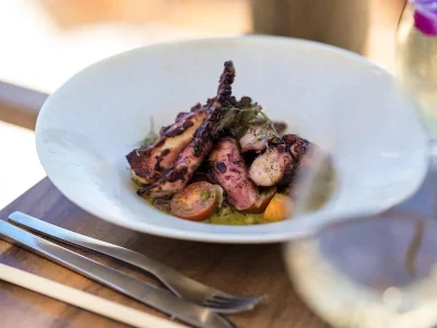 yrn167sfj0rn8db6zaqxbe2t63dg