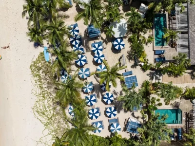 z3w1i7b4qnax8nj2x01n5wyjfzhs