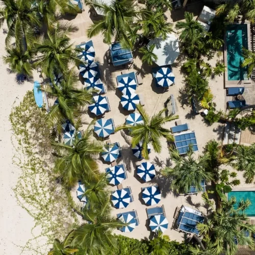 z3w1i7b4qnax8nj2x01n5wyjfzhs