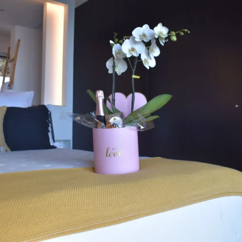 zklzaaigwfmghi8rsnxhno4ihlgg