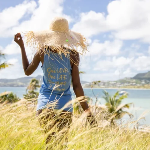 zrcazt06xwdp690ku7mj5s2s47dr (2)